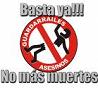 Guardarrailes Asesinos